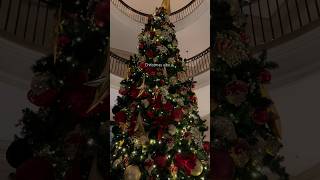 Christmas Decorations in Edinburgh Scotland christmas beautifuldestinations scotlandsbeauty [upl. by Ricardo]