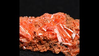 NEW ARRIVAL Crocoite from Tasmania Australia [upl. by Sherburne747]