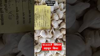 लहसुन बिका 91101₹ क्विंटल के भाव निंबाहेड़ा मंडी भाव garlic nimbahera shorts [upl. by Aneed]