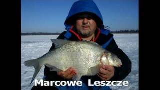 LowiskoTV  marcowe leszcze z pod lodu [upl. by Fineman]