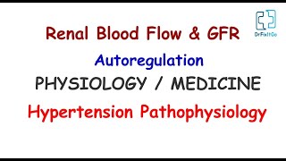 Renal Blood Flow amp GFR Autoregulation  Hypertension Pathophysiology  Physiology  Medicine HS 6 [upl. by Owiat]