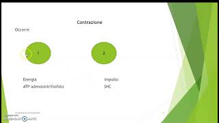 Il sistema Muscolare [upl. by Mcleod]