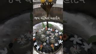 Om namaha shivay dholka gujarat har har mahadev like karo [upl. by Aihtekal810]