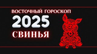 2025  ВОСТОЧНЫЙ ГОРОСКОП ДЛЯ СВИНЬИ НА 2025 ГОД ГОД ЗМЕИ 2025 [upl. by Thin]