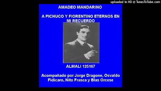 Amadeo Mandarino quotTomo y obligoquot [upl. by Denna843]