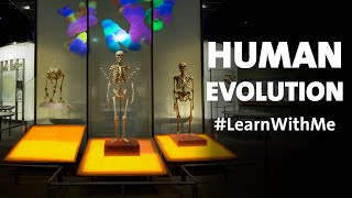 Human Evolution Watch Party LearnWithMe [upl. by Etnovahs]