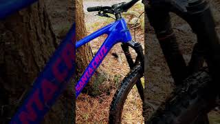 Santa Cruz Tallboy v5 Gloss Ultra Blue mtb mountainbiketrails santacruzbicycles mtblife [upl. by Winifred]