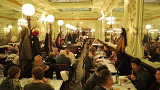 French brasseries Where tradition is on the menu • FRANCE 24 English [upl. by Apfelstadt]