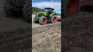 Claas Axion 960 With Horsch Tiger 5 MT [upl. by Darnoc]