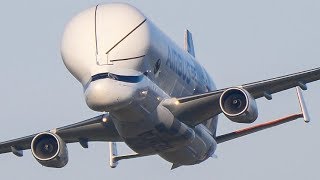 Airbus Beluga XL AEROBATICS DISPLAY  Fly Past Wing Wave amp Landing at Broughton  February 2019 [upl. by Kcirtemed]