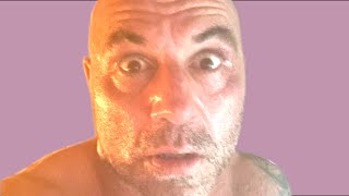 Joe Rogan Wants To Eat Your Meat [upl. by Stier851]