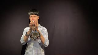 P Mauriat Trumpet PMT75 Playtest  Blues Alan Wang [upl. by East521]