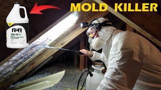 DIY Attic Mold Removal StepByStep Instructions [upl. by Zilef]