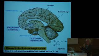 EntheoScience  Dana Beal  Mechanism of nerve growth amp Ibogaine’s Immune Modulatory Effects [upl. by Airdnek]