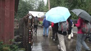 National Geographic Photo Walk in Petersburg Alaska [upl. by Vanda]