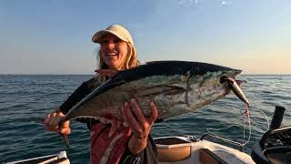 Remote Queensland Island Fishing in a Whittley SL 27 HT OB [upl. by Enneillij]