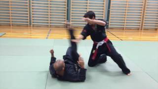 Goshindo Training  small Kick Defense Kata [upl. by Nileek]