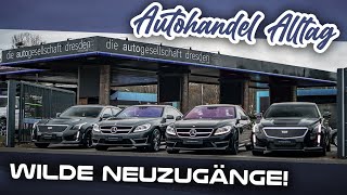 Zurück im Autohandel  Es gibt viel zu erzählen  Neue Ware amp Stories ohne Ende  MadSunday [upl. by Damiani]