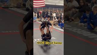 NOGi Tripod Sweep tripodsweep FYP BJJ MMA jiujitsu NAGA Chicago ASD ATL Detroit [upl. by Edgardo]