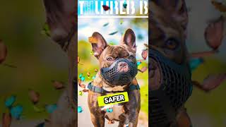 “AIGenerated Review Perfect Breathable Dog Muzzle for Safer Comfortable Walks” doglover ai [upl. by Rebe]