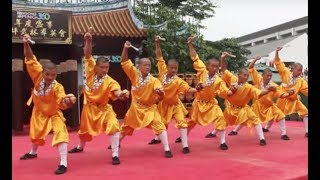 Shaolin Kungfu Masters [upl. by Elay]