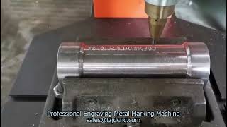 Metal Engraving Machine TZJD0815 Dot Peen Marker [upl. by Haveman318]