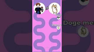 Bacon vs Doge meme 🤩🤩🤩 shorts tiktok race meme [upl. by Reviere]