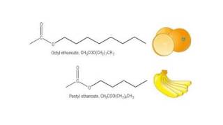 Carboxylic acids and esters [upl. by Inaffyt]