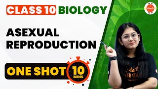 Asexual Reproduction Class 10 One Shot  How Do Organisms Reproduce  CBSE 10th Biology Chapter8 [upl. by Earahs]