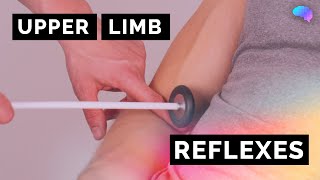 Reflexes of the Upper Limbs  OSCE Clip  UKMLA  CPSA [upl. by Amsed443]