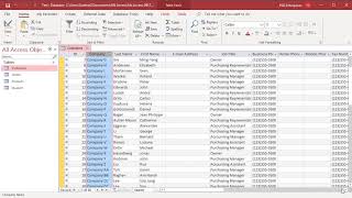 How to Work with Datasheet View in MS Access  Office 365 [upl. by Gough704]