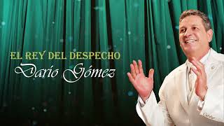 Darío Gómez  Mi Sentencia Official Audio [upl. by Hasan12]