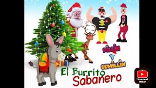 El Burrito Sabanero Canciones de Navidad 🎄🎁 Pillin y Semillin [upl. by Ainwat]