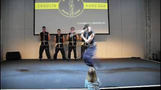 Kung Fu Show  Part 2  Event Rapperswil  2010 [upl. by Queena]