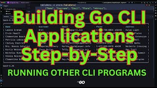 Building Golang CLI Applications From 0 to 1000 Stars 7 [upl. by Lamond743]