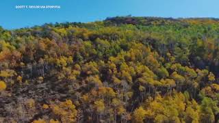 Fall Foliage in Northern Utah [upl. by Anneliese463]