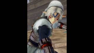 Feirce deity link edit edit thelegendofzeldalink zelda hyrule [upl. by Egres]