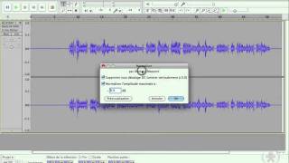Audacity 39  Réduction du bruit de fond [upl. by Eeralih]