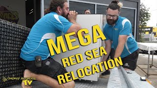 Mega Red Sea Relocation [upl. by Keisling615]