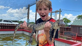 Dawson’s Summer Diaries Episode 29 Alligators and Snakes [upl. by Race]