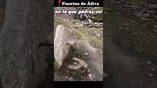 RUTA 📍 PICOS DE EUROPA ⛰️ Puertos de Áliva picosdeeuropa senderismo cantabria [upl. by Toile558]