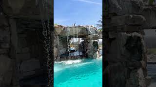 We love grottos how about you insanepools lucaslagoons grotto poolbuilder pool backyard [upl. by Anurb442]