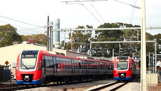 The many perspectives of Edwardstown Railway Station Train Spotting [upl. by Maxia]