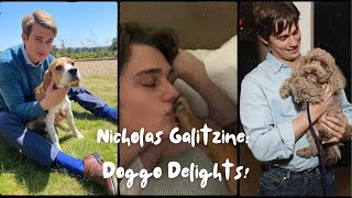 Nicholas Galitzine Doggo Delights ❤️🐶 [upl. by Brandon]