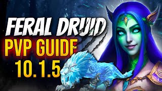 Feral Druid Pvp Guide 1015 [upl. by Erin]