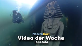 Video der Woche 18102024 [upl. by Clifton499]