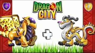 Dragon City  Wacky Dragon amp Voltaix Dragon  Exclusive Combo Pack 2017 [upl. by Manuel]