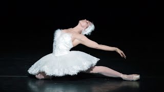 The Dying Swan – Natalia Osipova The Royal Ballet [upl. by Horst]