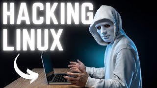 Please Dont Ignore The Best Linux For Hacking [upl. by Acireed583]