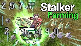 Ragnarok Classic GGT │ Stalker Farming │ Road to 100 M Zeny  EP17 [upl. by Annayad907]